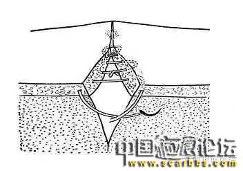 詳細(xì)圖解各種疤痕手術(shù)縫合的具體方法[tag]